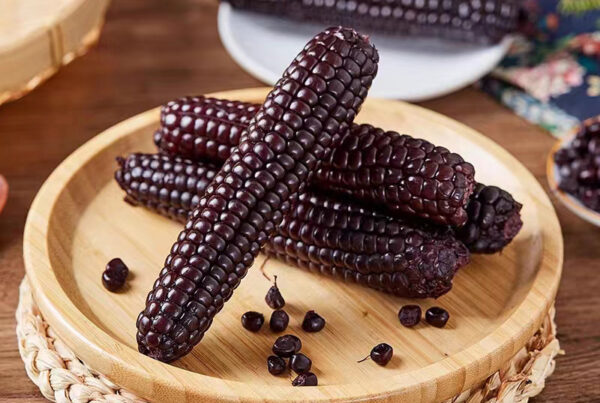 Ngô Mochi Tím Nhật Bản - Hương Vị Độc Đáo Từ Xứ Sở Hoa Anh Đào