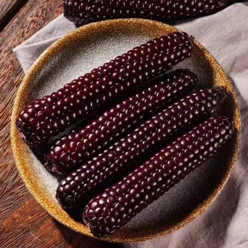 Ngô nếp (Bắp nếp)