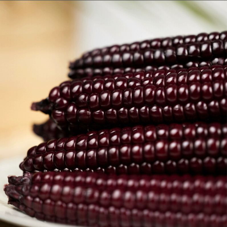 Ngô Mochi Tím Ngô Mochi Tím