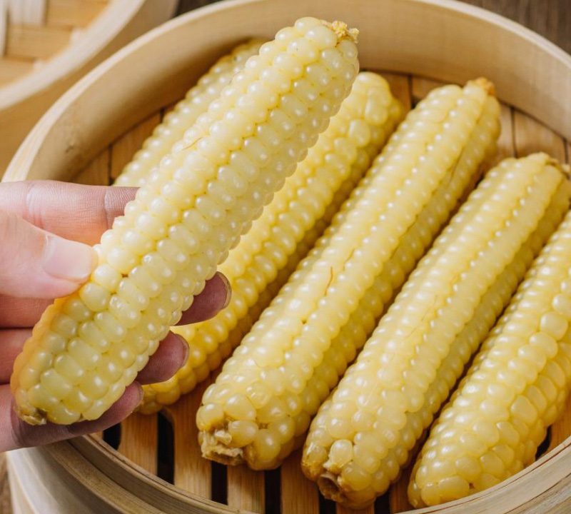 Ngô Nếp Là Gì? Tìm Hiểu Về Ngô Nếp (Waxy Corn) Và Những Điều Thú Vị